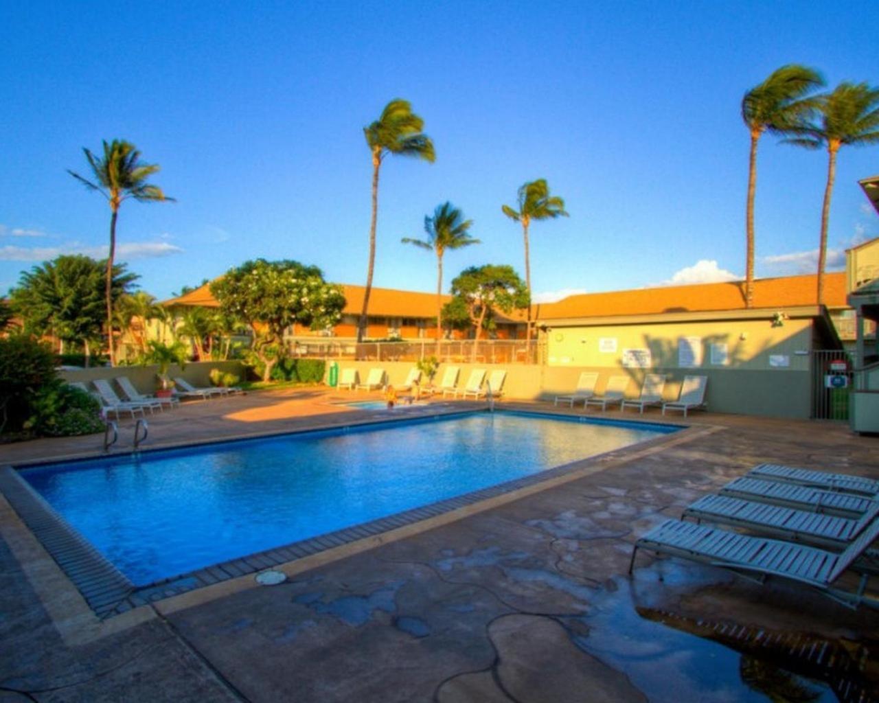 Kihei Bay Surf 130- Garden View Studio, Free Parking מראה חיצוני תמונה